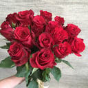 Bouquet of 15 red roses Ecuador