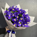 Bouquet of 11 irises