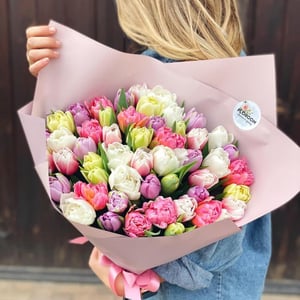 Bouquet of 47 peony tulips