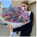 Mono-bouquet of gypsophila