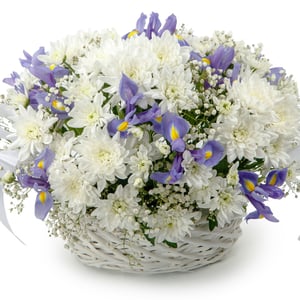 Blumenkorb 'Flowers in a basket "Sky in the clouds"'