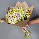 Bouquet 'Field cutie'