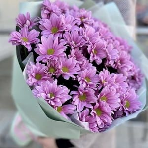 Bouquet of 5 purple chrysanthemums