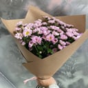 Bouquet 'Chrysanthemum Santini Rossi Pink'