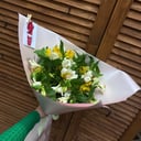 Bouquet '9 alstroemerias'