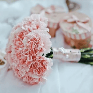 Bride's bouquet of carnations "Light tenderness"