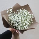 mini-bouquet of gypsophila