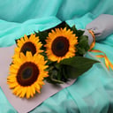 Blumenstrauß 'Bouquet of Sunflowers'