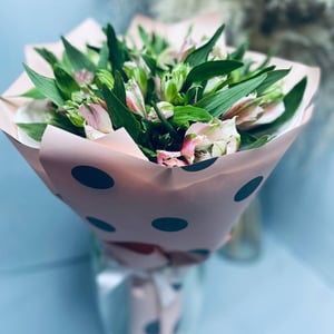 Bouquet of Alstroemerias in a package with polka dots