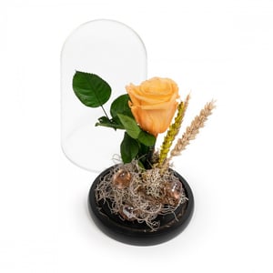 Forever Rose Yellow L