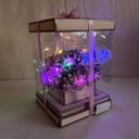 Flower box 'Glowing Gypsophila in a Box 16x26'