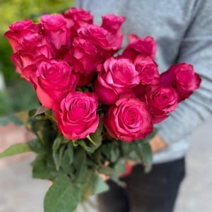 Bouquet of 15 Ecuadorian roses 60 cm