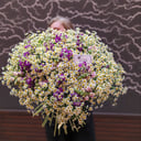 Blumenstrauß 'Farben im Juni'