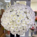 Blumenstrauß 'Blizzard'