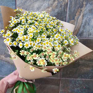 Blumenstrauß 'Sommerwolke'