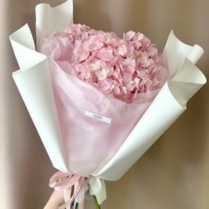 Ramo 'Hortensia delicada'