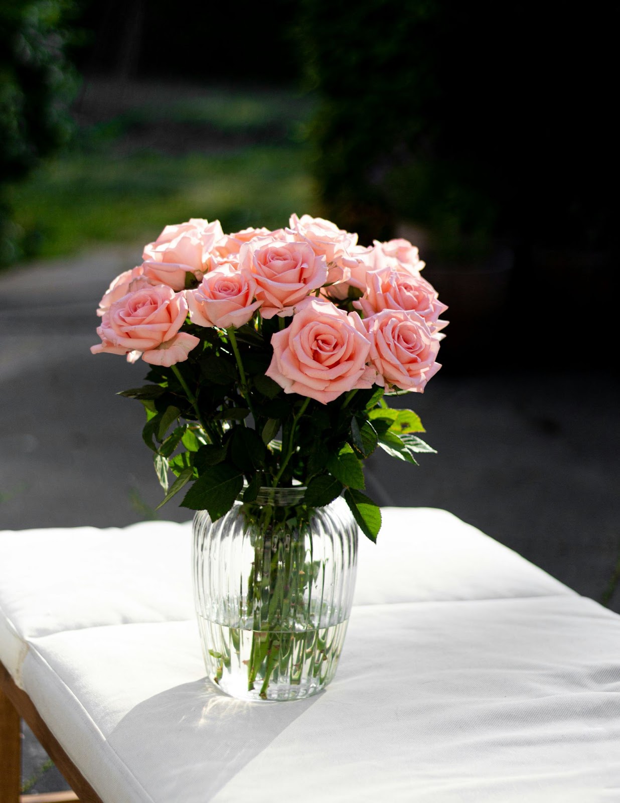 How to Keep Your Roses Blooming All Summer Long