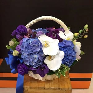 Panier d'orchidées Brise Océane