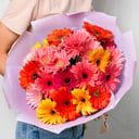 Bouquet of gerberas 35 pcs