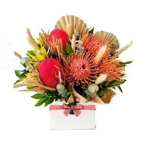 Flower box 'Gondwana — un fiore dei continenti antichi'