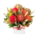 Flower box 'Gondwana — a bloom from the ancient continents'