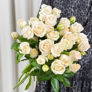 Ramo de 7 rosas arbustivas de color crema