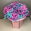 Rainbow Gypsophila in a pink box