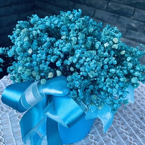 Blumen in der Box: Blauer Funke