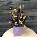 Composition of dried flowers "Starry night"