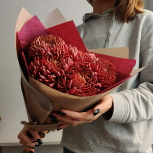 Bouquet '5 chrysanthèmes Bigudi couleur Bordeaux'