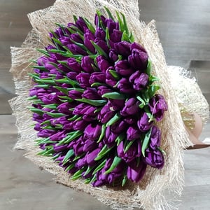 Bouquet '101 purple tulip'
