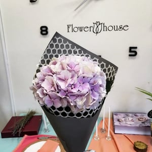 Bouquet 'Hydrangea in multilayer packaging'