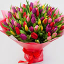 Blumenstrauß 101 Tulpe "Frühlingsmischung"