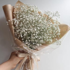 Blumenstrauß 'Bouquet of 7 branches of white gypsophila'