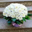 Hat box with spray chrysanthemum