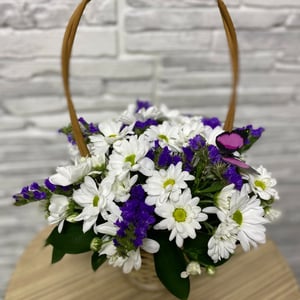 Blumenkorb 'Schmetterling'