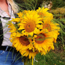 Bouquet 'Mono sunflowers size M'