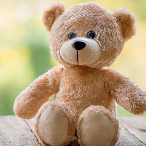 Teddy bear