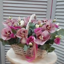 Flower basket 'Basket with orchids "Inspiration"'