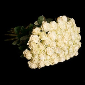 Blumenstrauß 'Strauß aus 25 hochwertigen weißen Rosen'