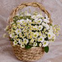 Flower basket 'Starry eyes: Basket of daisies'