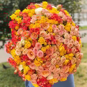 Bouquet '51 spray rose'