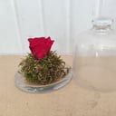 A gift for one and only