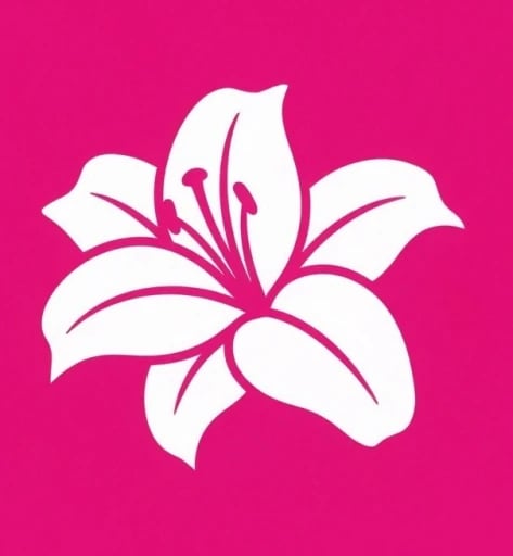 LiliPlants