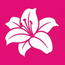 LiliPlants