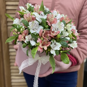 Blumenbox 'Alstroemeria'