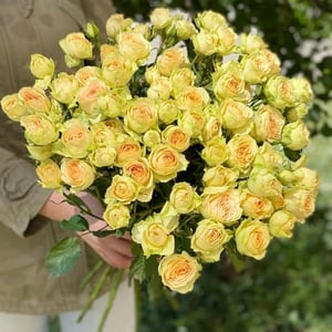 Bouquet of yellow peony roses