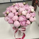 51 peonies in a hatbox