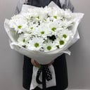 Blumenstrauß 'Gänseblümchen'