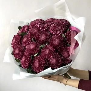 Chrysantemum-mono bouquet “Juicy plum”